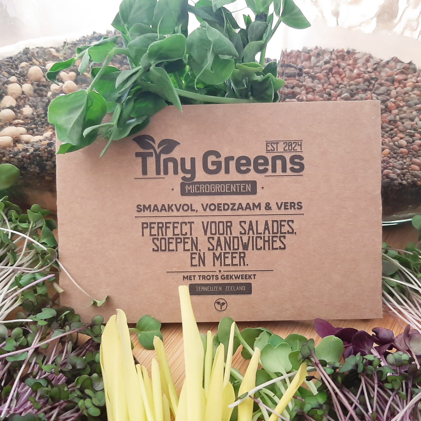 Close-up foto van het label van TinyGreens. Vers geoogste microgroenten van TinyGreens, waaronder cress, radijs en erwtenscheuten, gepresenteerd op een bamboehouten plank, met in de achtergrond 2 glazen potten met de zaadjes waar ze uit gekweekt zijn. Op deze foto is een scala aan microgroenten te zien.