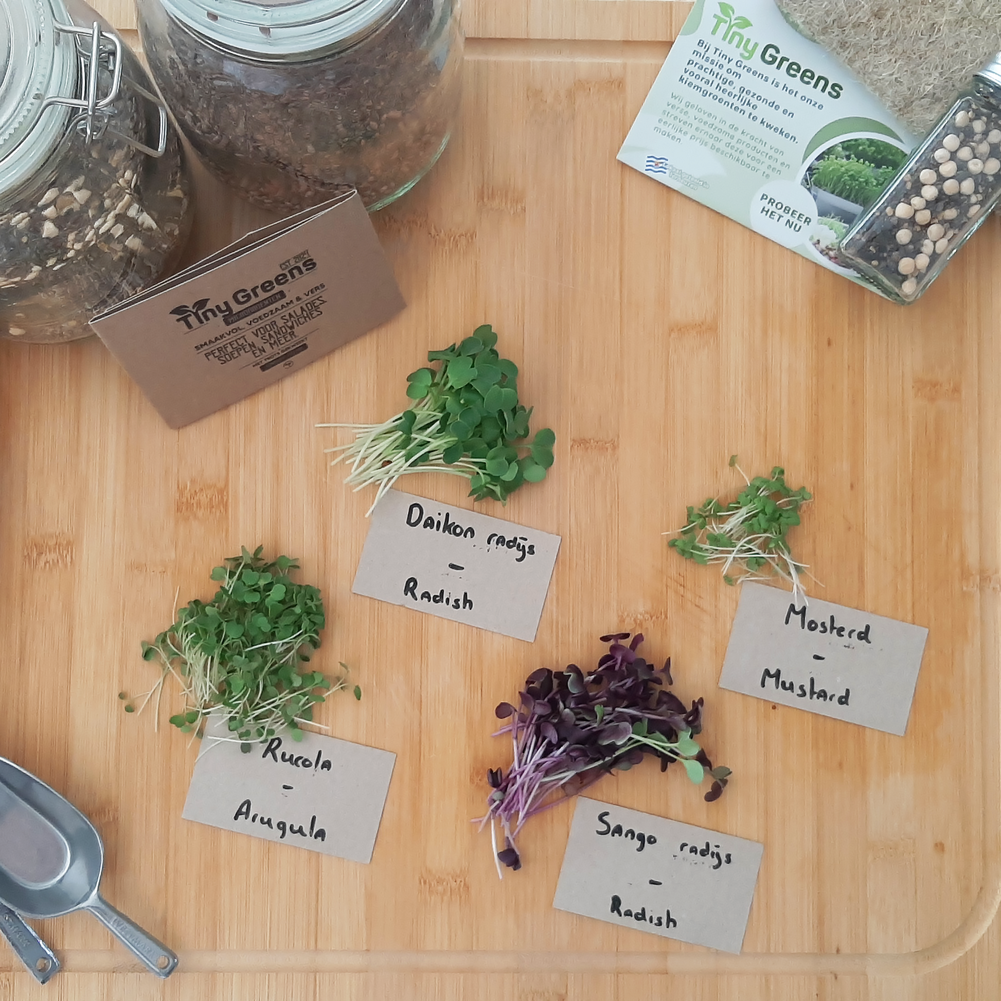 Bovenaanzicht van de inhoud van TinyGreens Spicy Mix. De cressen zijn individueel op een eikenhouten plank neergelegd, met een kartonnen naambordje erbij. Op de achtergrond zijn 2 grote glazen potten zichtbaar met de zaden waar de cressen uit gekweekt zijn. Ook is het label van TinyGreens zichtbaar. Op deze foto is een scala aan microgroenten te zien.